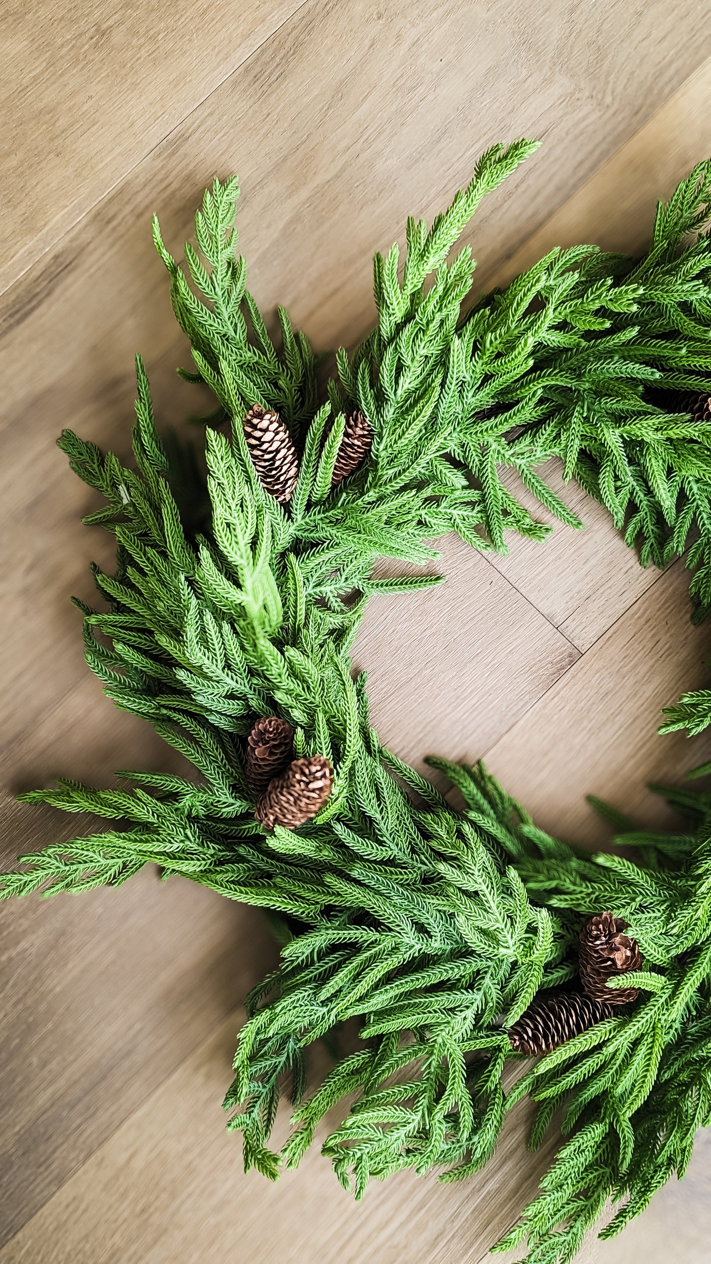 Norfolk Pine Wreath