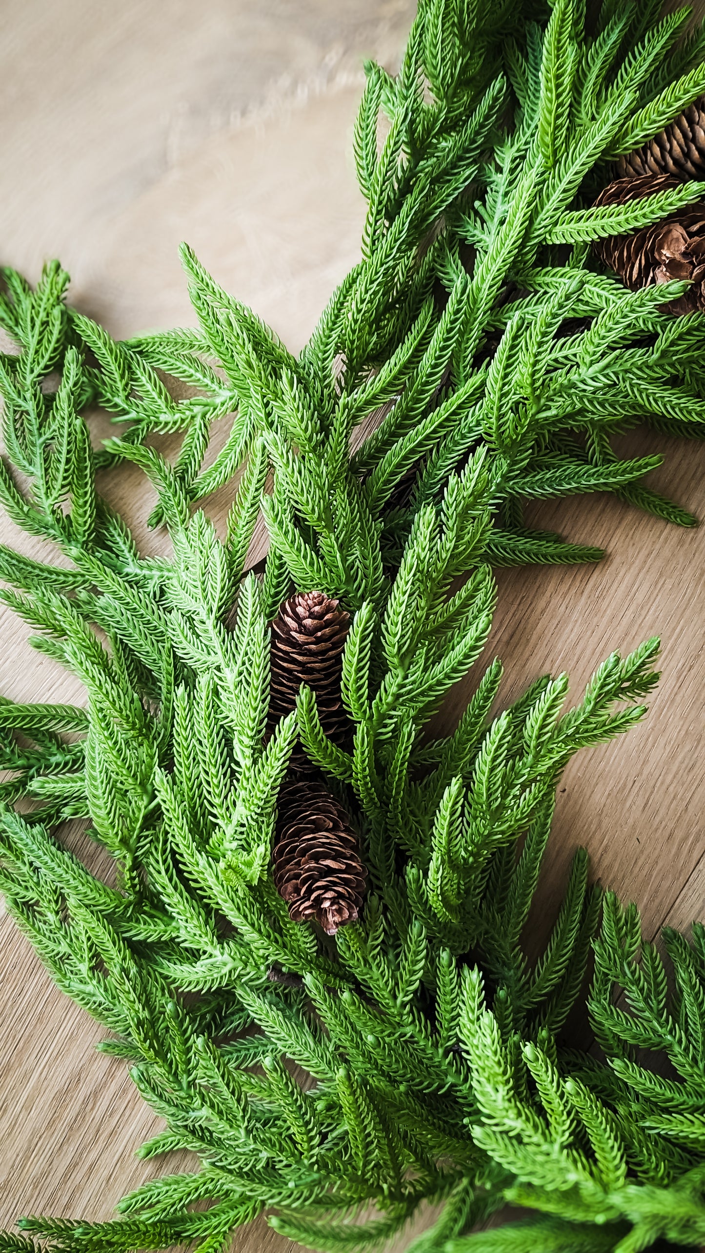 Norfolk Pine Wreath