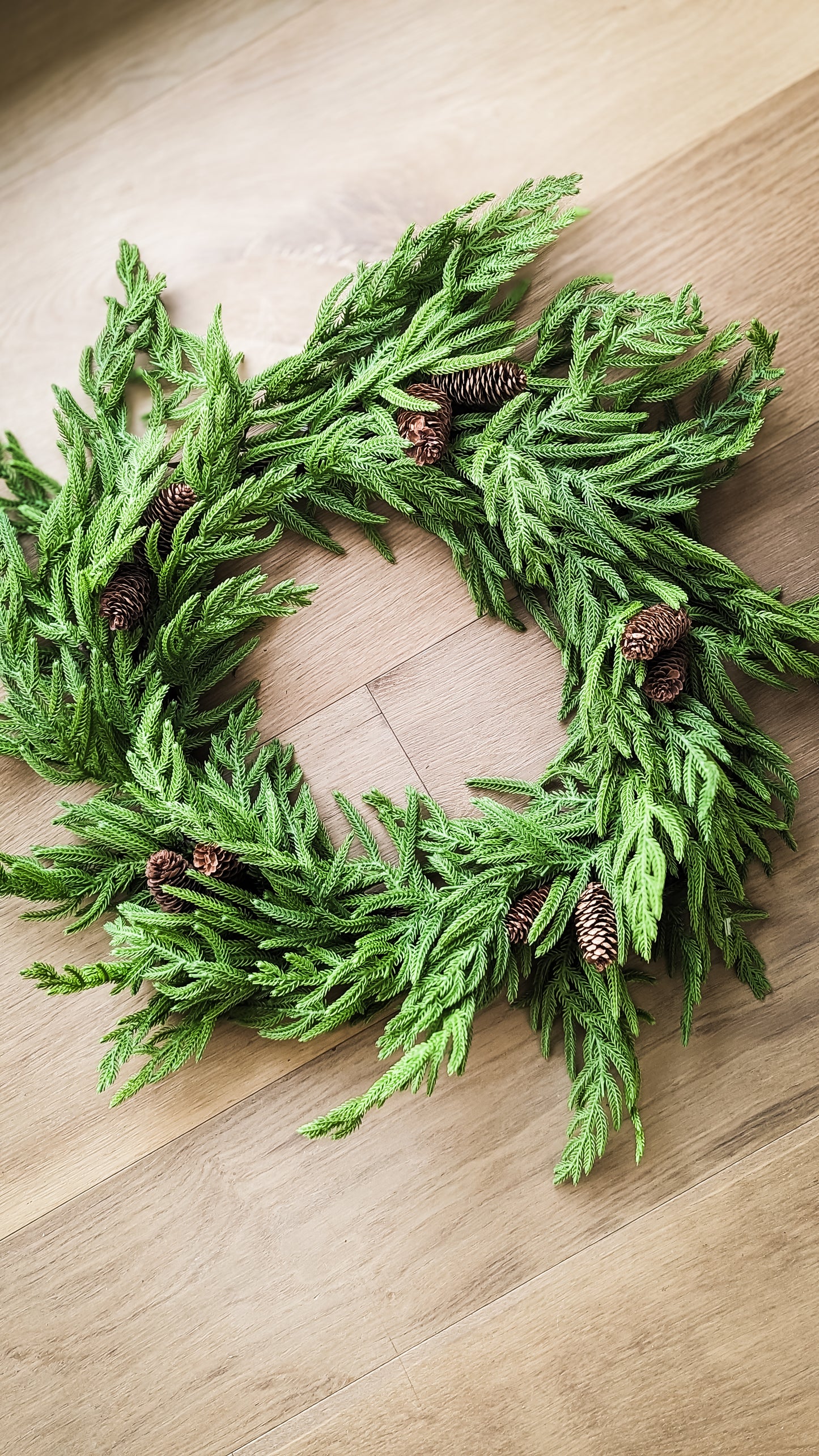 Norfolk Pine Wreath