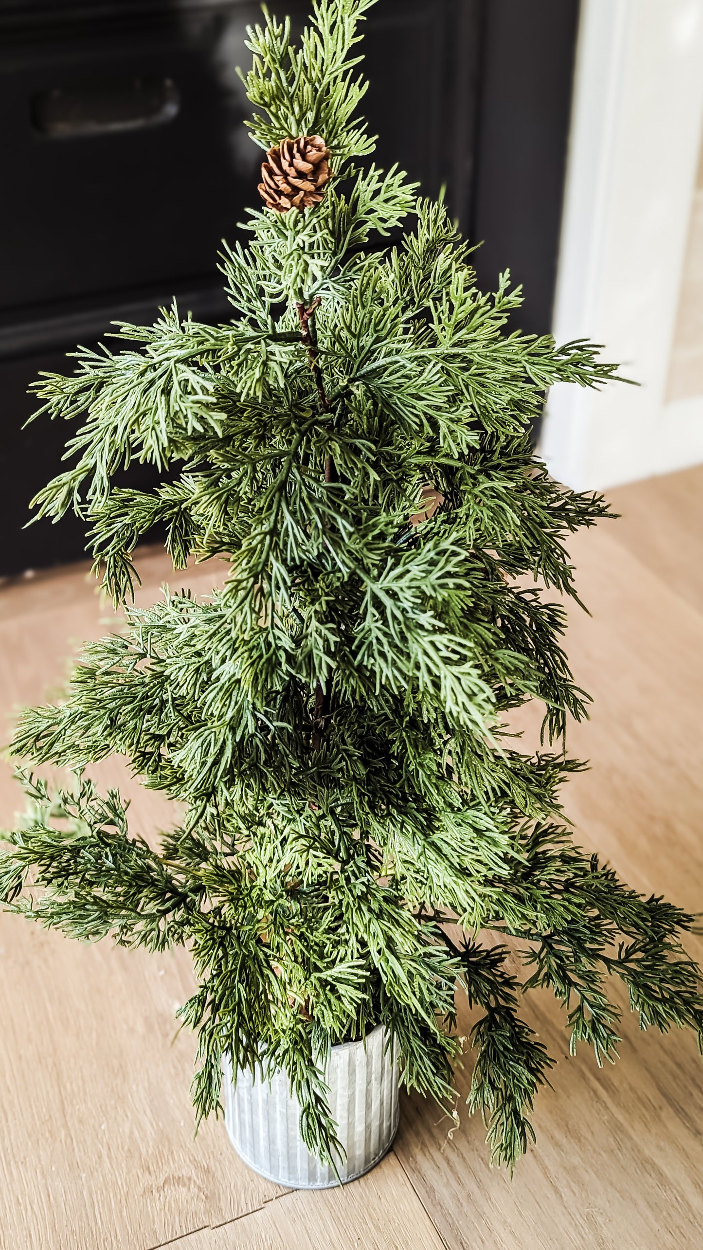 Potted Evergreen Tree (35")