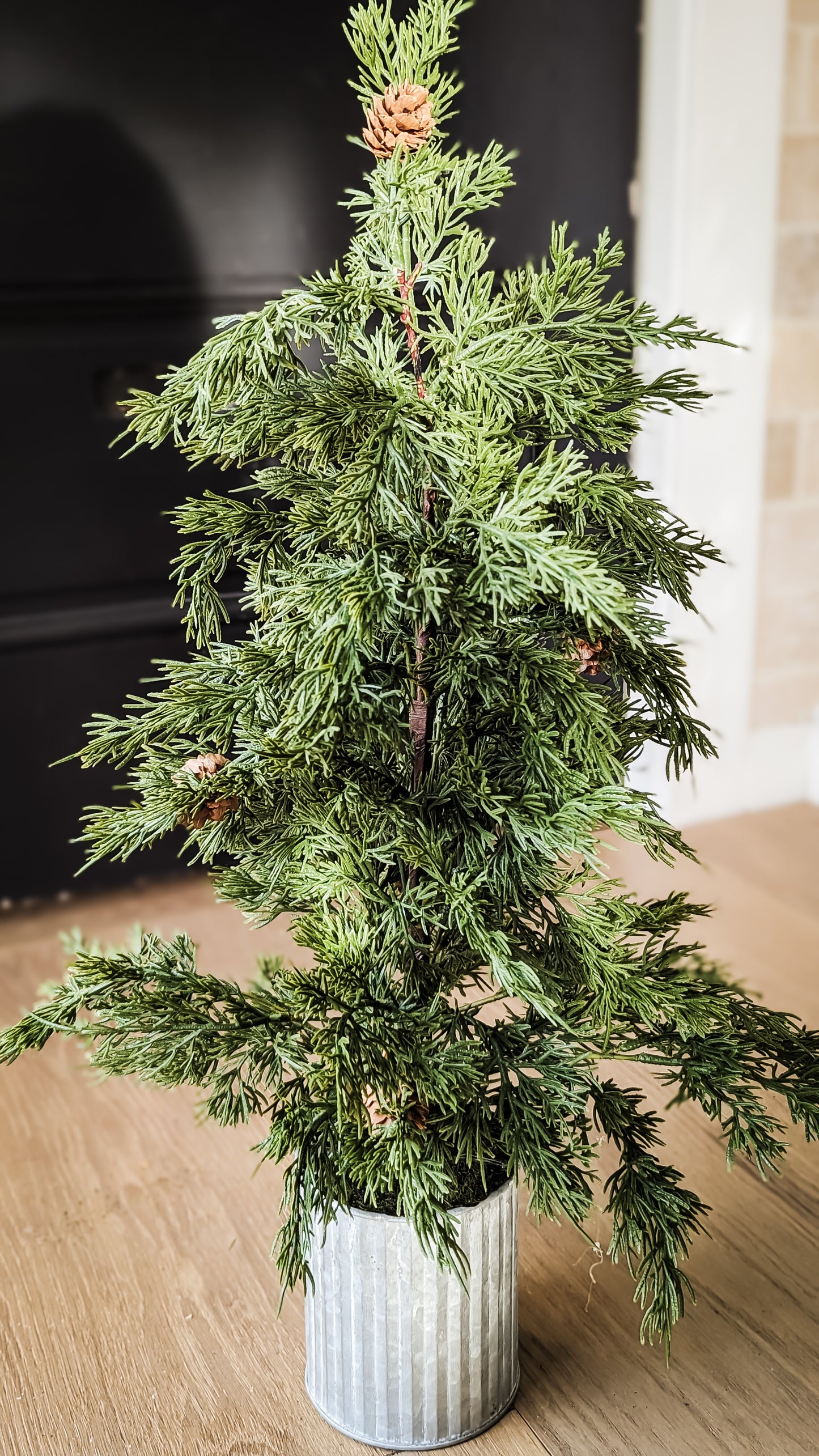 Potted Evergreen Tree (35")