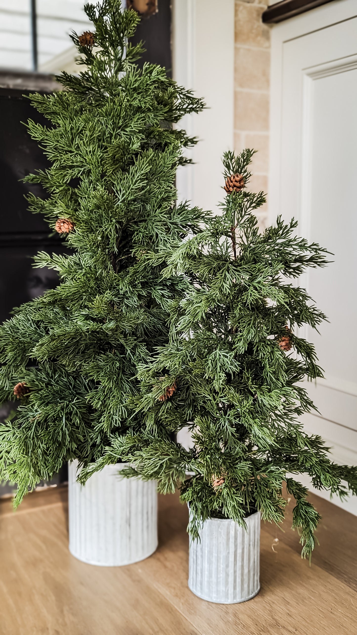 Potted Evergreen Tree (25")