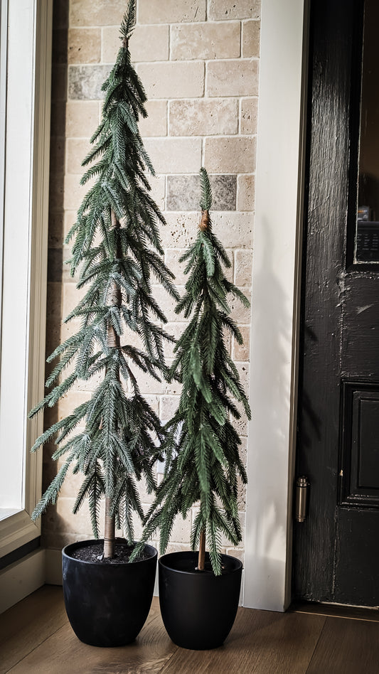 Slim Fir Potted Tree (50")