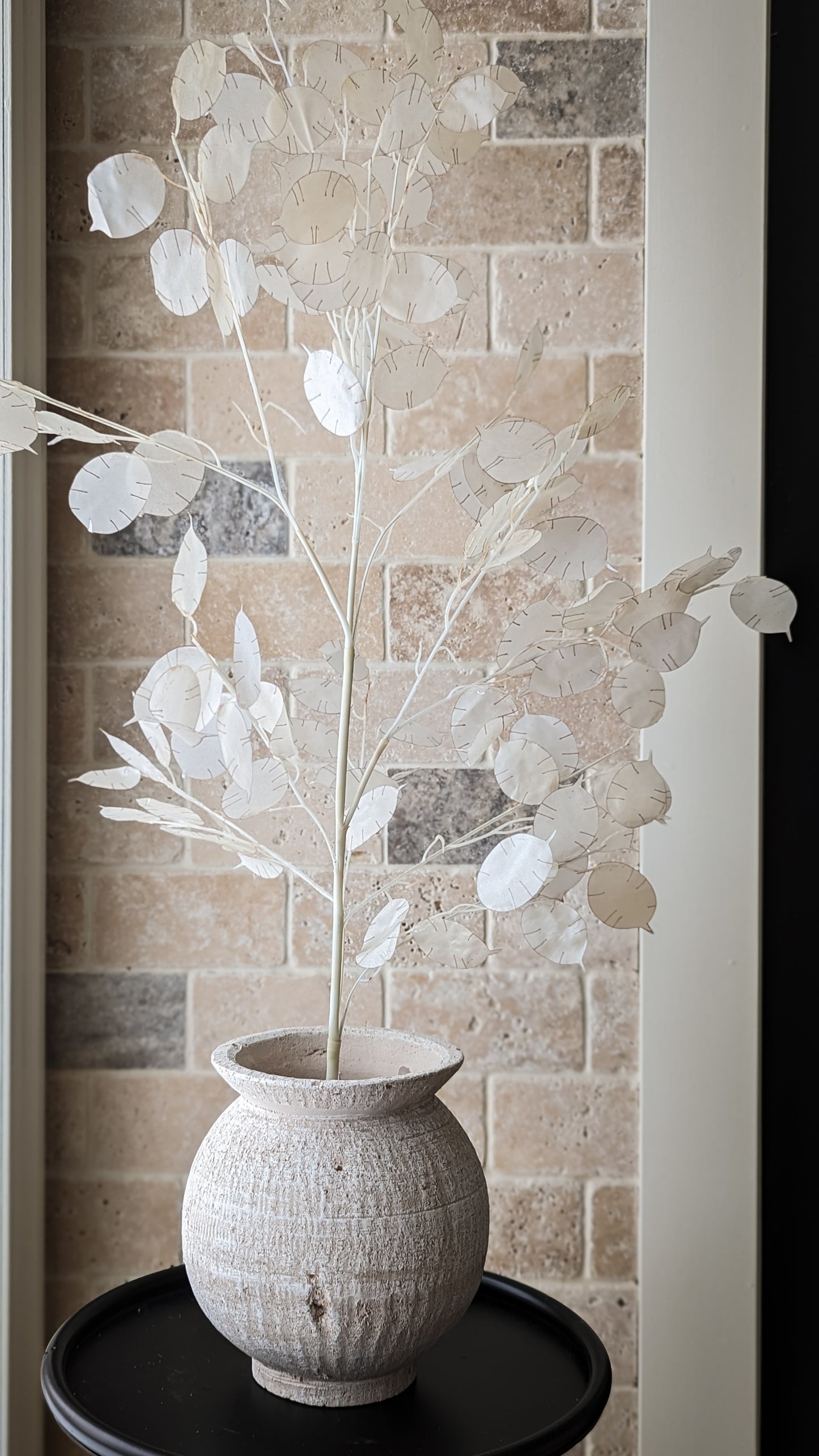 Lunaria Branch