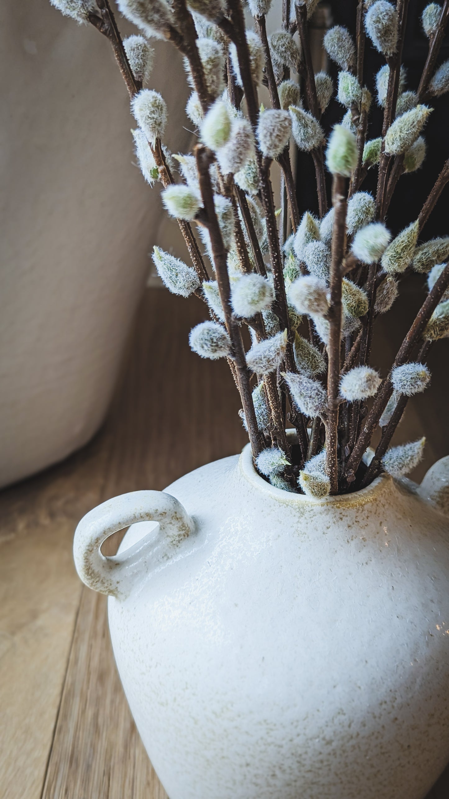 Pussy Willow Bouquet Small