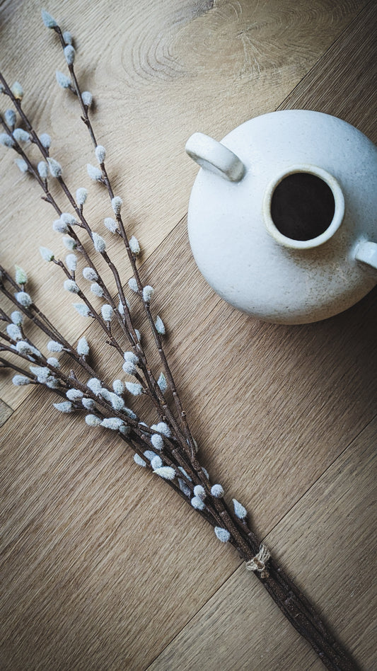 Pussy Willow Bouquet Large