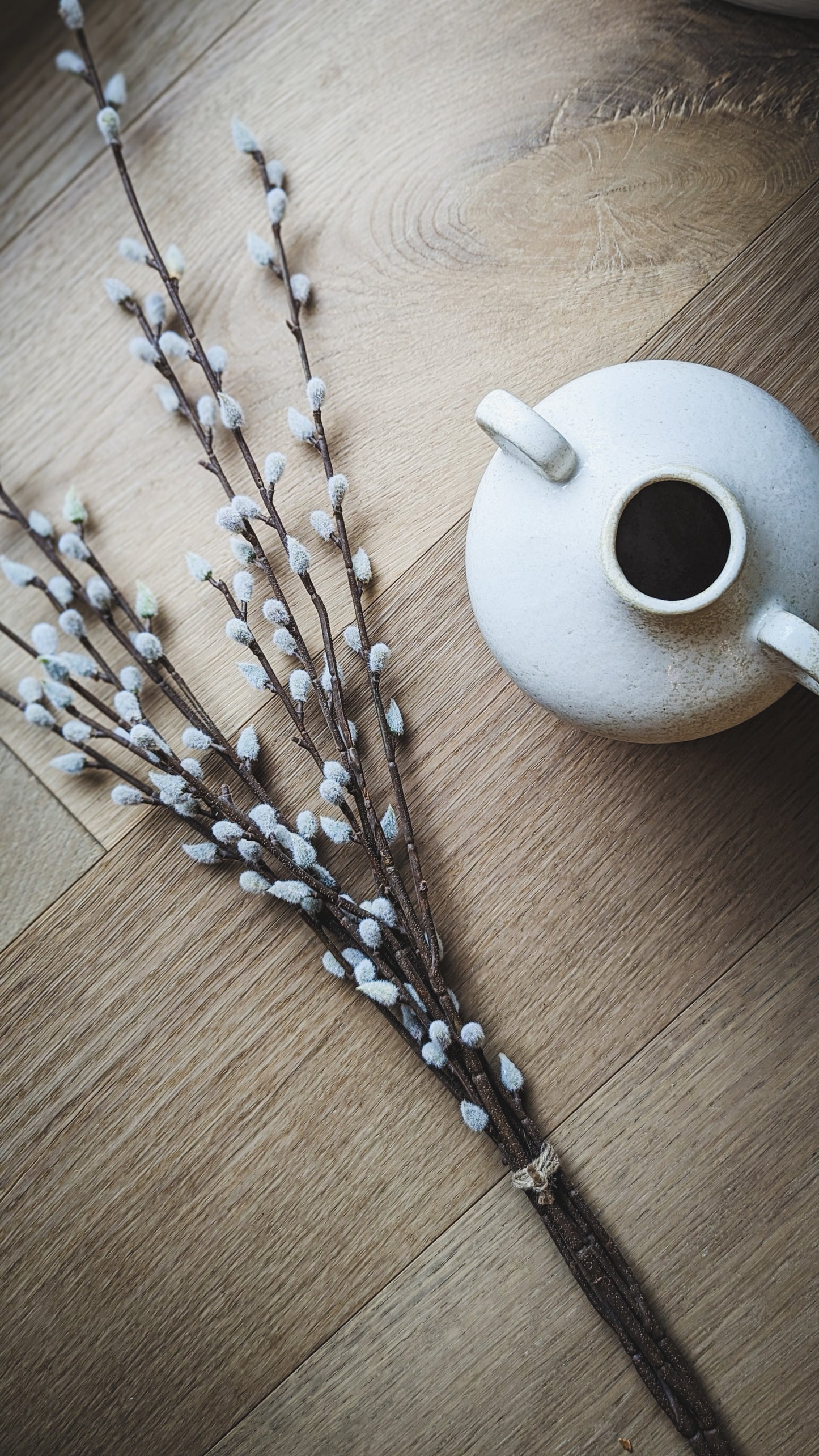 Pussy Willow Bouquet Large