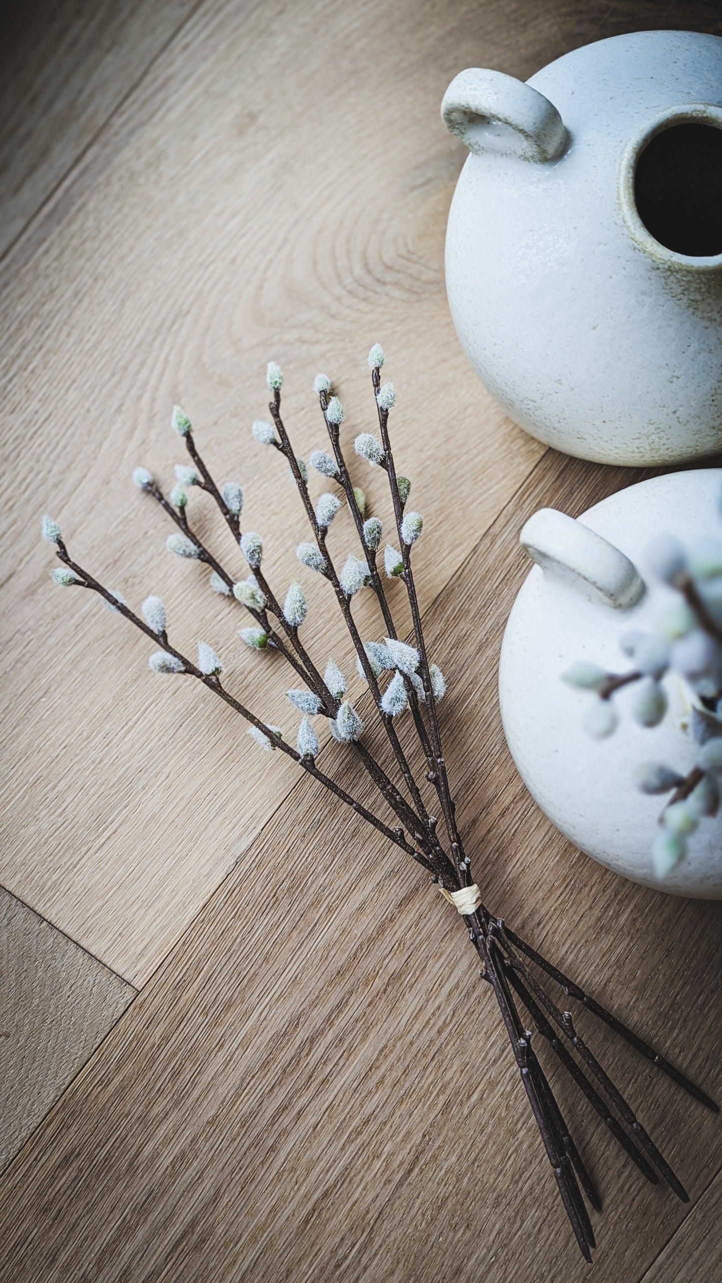 Pussy Willow Bouquet Small