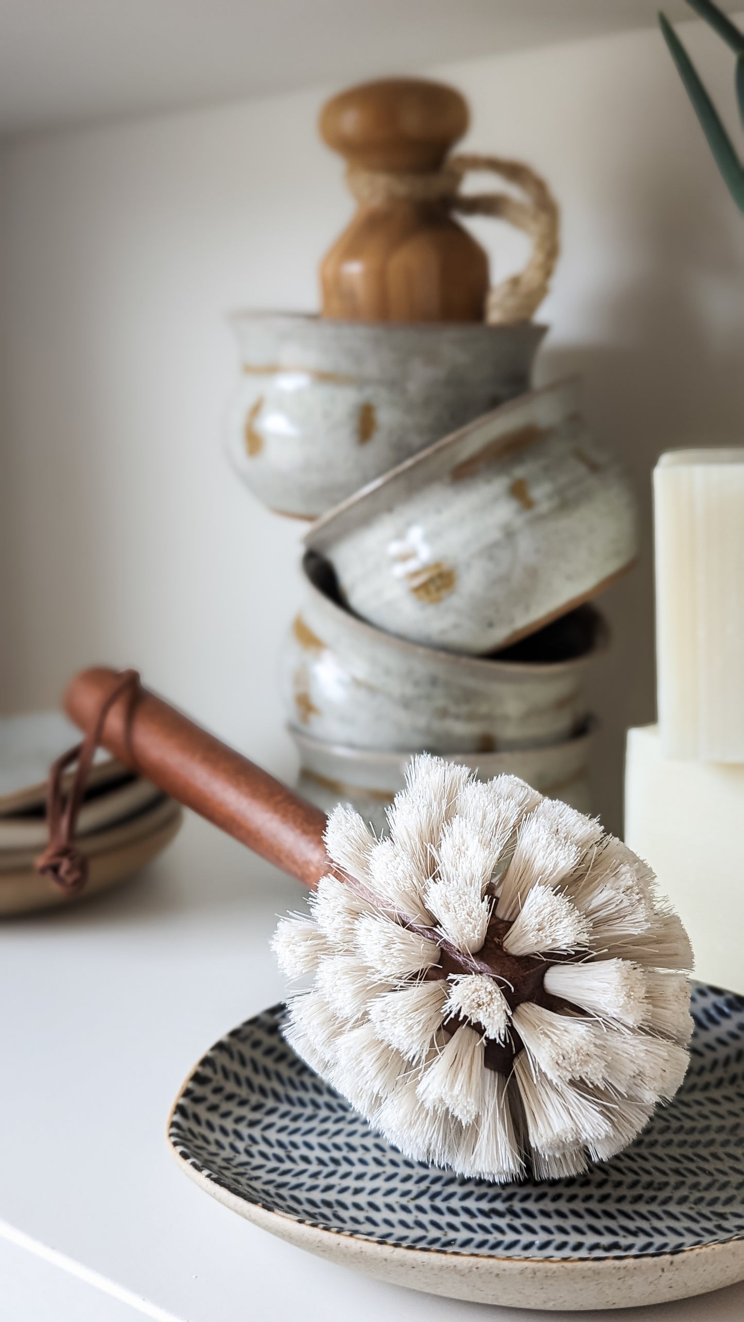 Beech Wood + Horse Hair Dish Brush